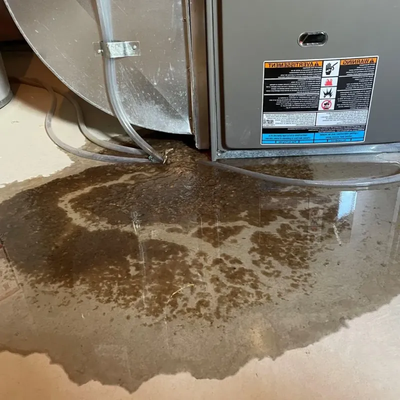 Pipe Burst and Leak Restoration in Centerville, PA