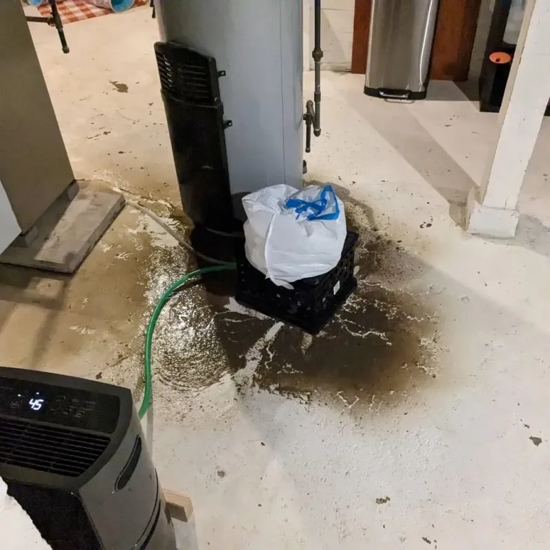 Sewage Backup Cleanup Service in Centerville, PA